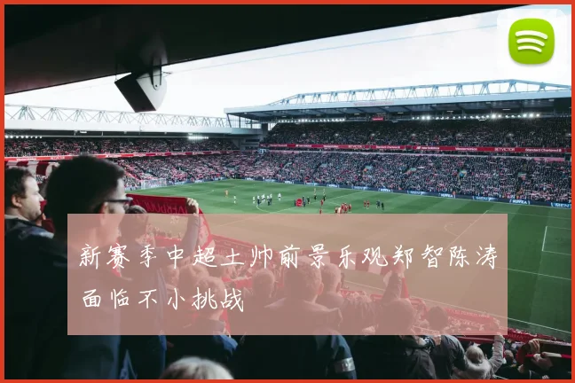 新赛季中超土帅前景乐观郑智陈涛面临不小挑战