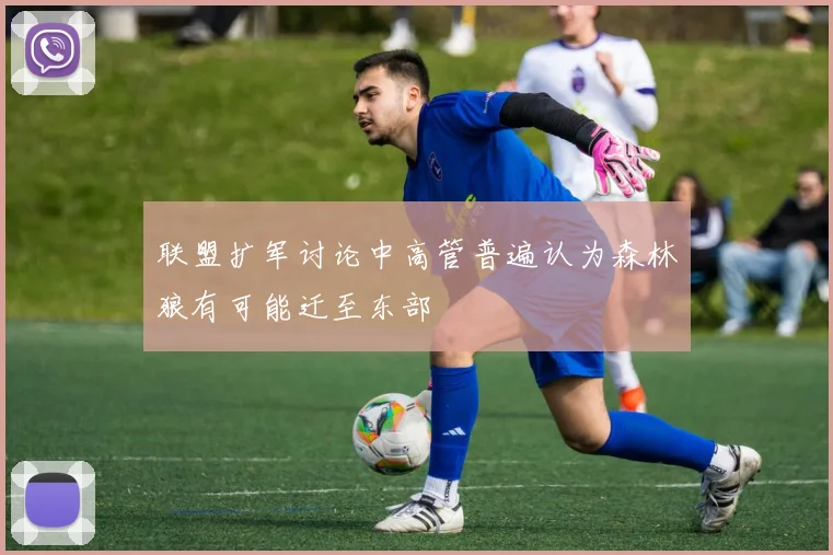 联盟扩军讨论中高管普遍认为森林狼有可能迁至东部