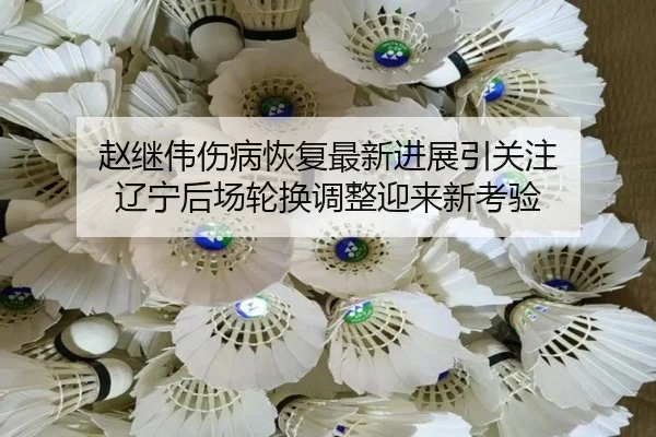 赵继伟伤病恢复最新进展引关注 辽宁后场轮换调整迎来新考验（18LUCKSPORTS）
